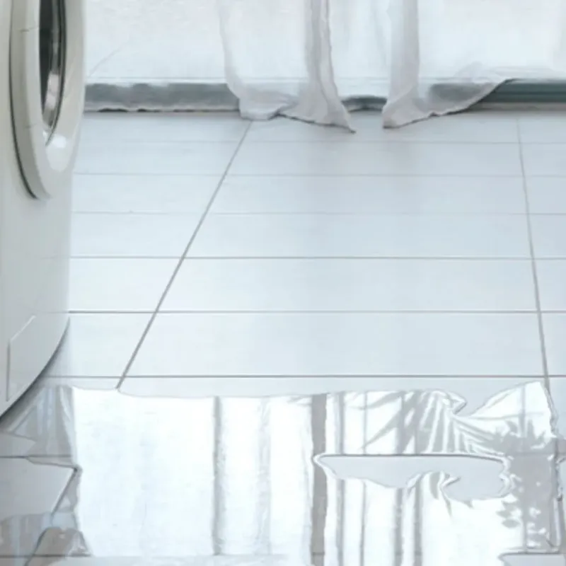 Appliance Leak Cleanup in Hanna City, IL