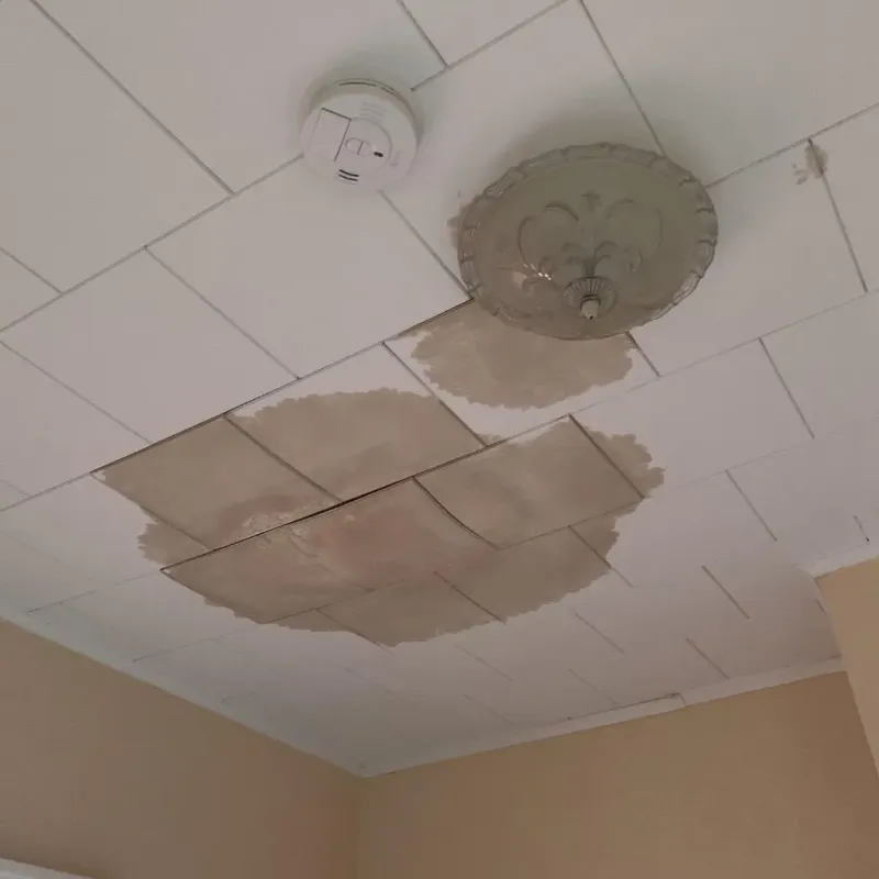 Ceiling Water Damage Repair in Hanna City, IL