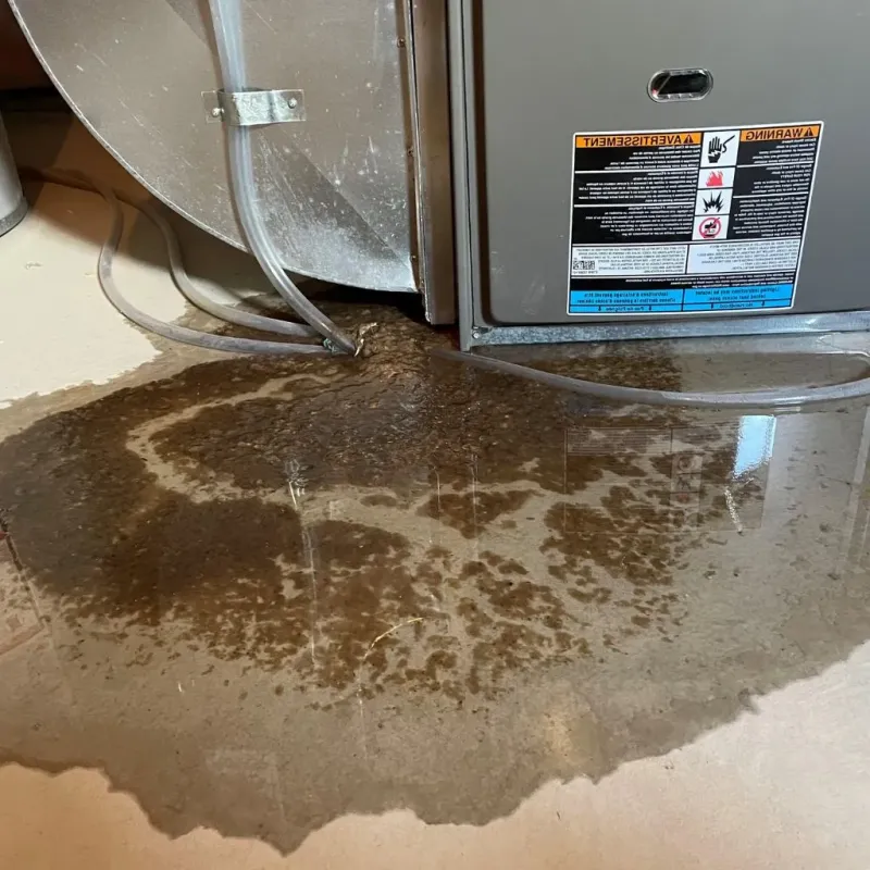 Pipe Burst and Leak Restoration in Hanna City, IL