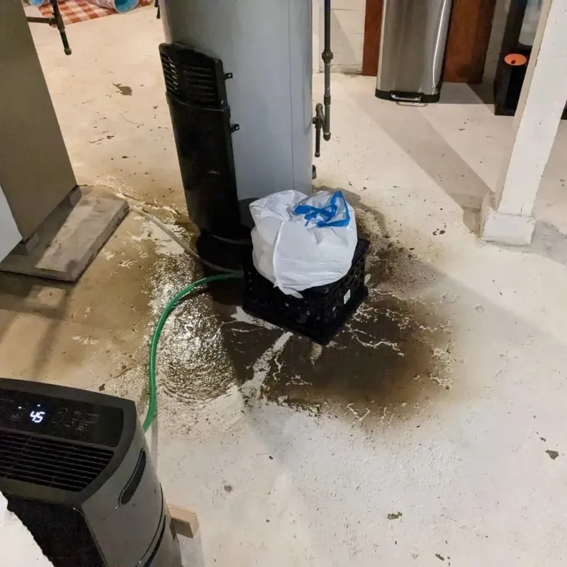 Sewage Backup Cleanup Service in Hanna City, IL